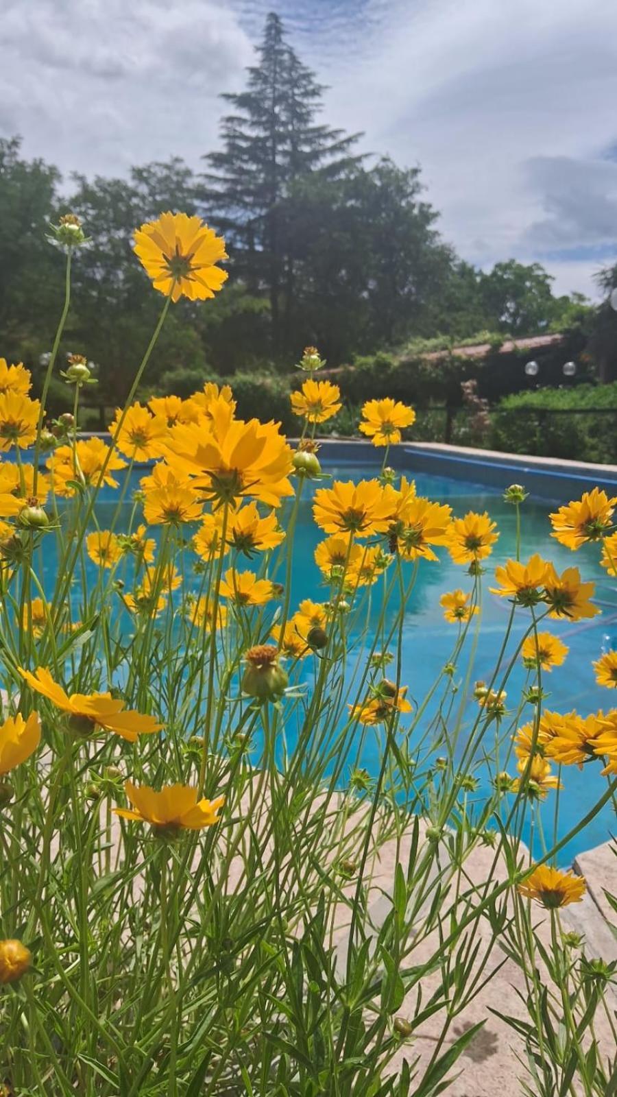 Hosteria Pastoral & Spa La Cumbre Ngoại thất bức ảnh